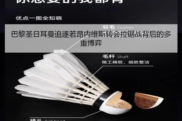 ba-li-sheng-ri-er-man-zhui-zhu-ruo-ang-nei-wei-si-zhuan-hui-la-ju-zhan-bei-hou-de-duo-zhong-bo-yi-2-497.jpg