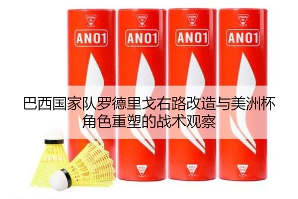 巴西国家队罗德里戈右路改造与美洲杯角色重塑的战术观察