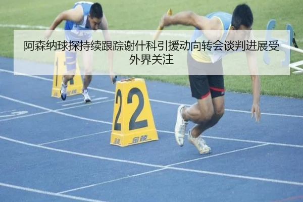 阿森纳球探持续跟踪谢什科引援动向转会谈判进展受外界关注