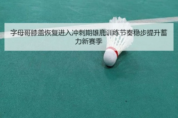 字母哥膝盖恢复进入冲刺期雄鹿训练节奏稳步提升蓄力新赛季